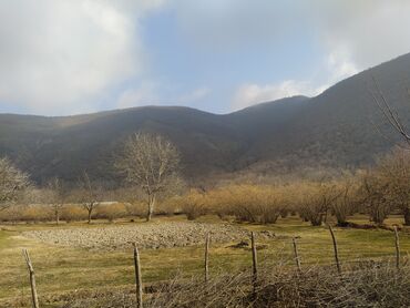 oğuz torpaq: 40 sot, Tikinti, Mülkiyyətçi, Kupça (Çıxarış)