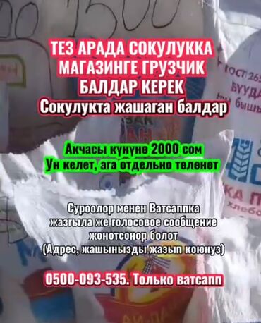 грузчик подработка: Грузчик