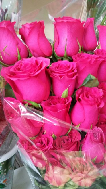 розу из голландии: РОЗЫ РОЗЫ РОЗЫ - любимые розы!малиновые,белые,красные,золотые с