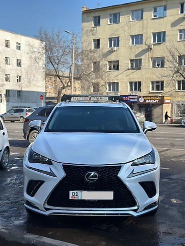 Lexus: Lexus NX: 2017 г., Автомат, Бензин, Кроссовер — 3