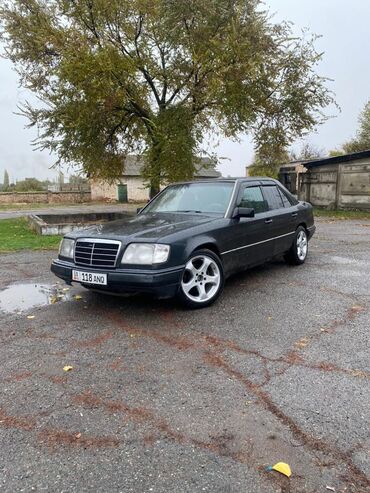 Mercedes-Benz: Mercedes-Benz W124: 1995 г., 3.2 л, Автомат, Газ, Седан