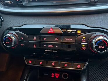 Kia: Kia Sorento: 2017 г., 2 л, Автомат, Дизель, Кроссовер — 20