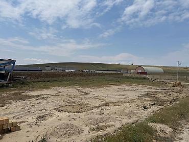 Torpaq: 25 sot, Tikinti, Kupça (Çıxarış) — 1