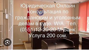 Другие услуги: Онлайн-консультация по гражданским и уголовным делам в суде. Услуга — 3