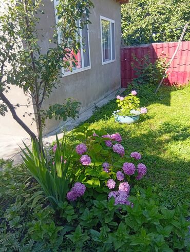 Günlük kirayə evlər: 40 kv. m, 2 otaqlı, Kombi, İnternet, Telefon -da lalafo.az — 16 Günlük kirayə evlər: 40 kv. m, 2 otaqlı, Kombi, İnternet, Telefon — 16