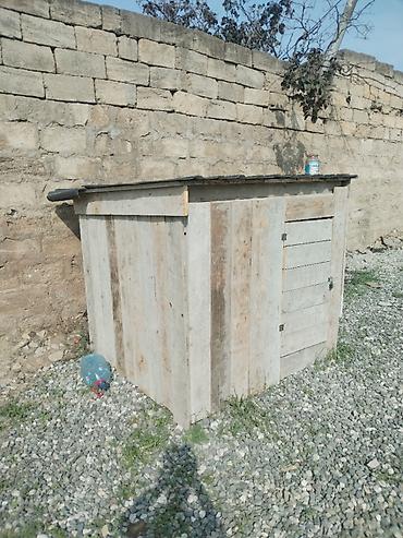 goyercin satsi: Salam 20 dənə quş var içində quşxana satılır Afçarka Balası ilə — 2