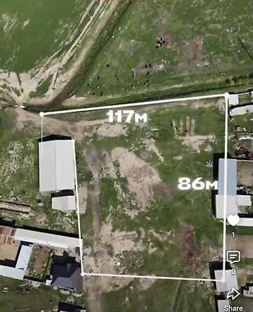 сокулуе: 100000 соток, Бизнес үчүн, Кызыл китеп — 5