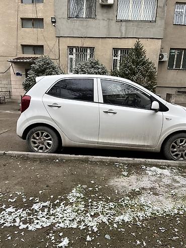 bus: Kia Picanto: 2020 г., Автомат, Бензин, Хэтчбэк — 3