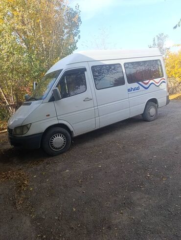 двигатель на портер 2: Mercedes-Benz Спринтер: 2002 г., 2.9 л, Механика, Дизель, Бус
