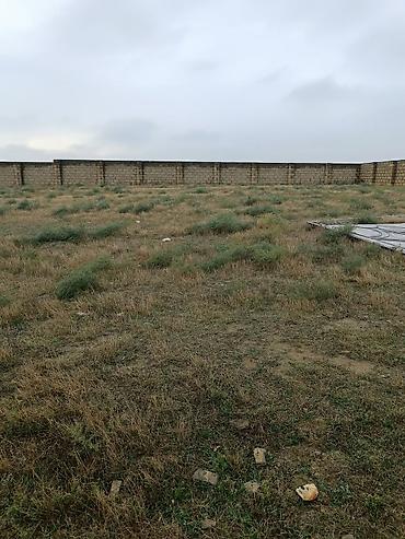 guneslide satilik bina: 10 sot, Tikinti, Mülkiyyətçi, Kupça (Çıxarış) — 5