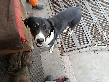 Другая автоэлектроника: Продаю контроллер 96-120 v 8- 15 kw с программным обеспечением,ЭБУ — 10