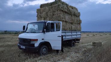 груз гигант: Легкий грузовик, Mercedes-Benz, Стандарт, 3 т, Б/у