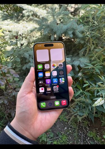Apple iPhone: IPhone 15 Pro, Б/у, 256 ГБ, Natural Titanium, Коробка, 89 %
