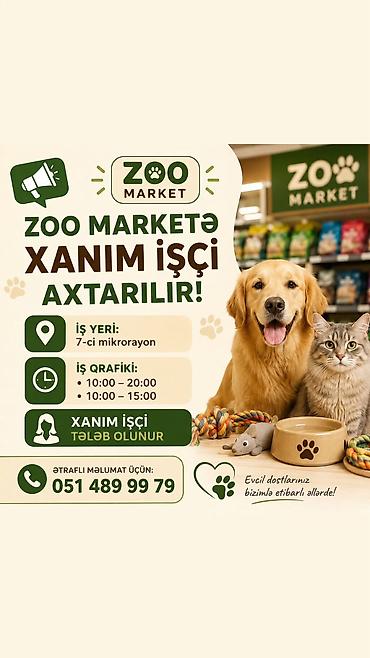 online operator isi: Kassir tələb olunur, 18-29 yaş, 1 ildən az təcrübə, Aylıq ödəniş — 1