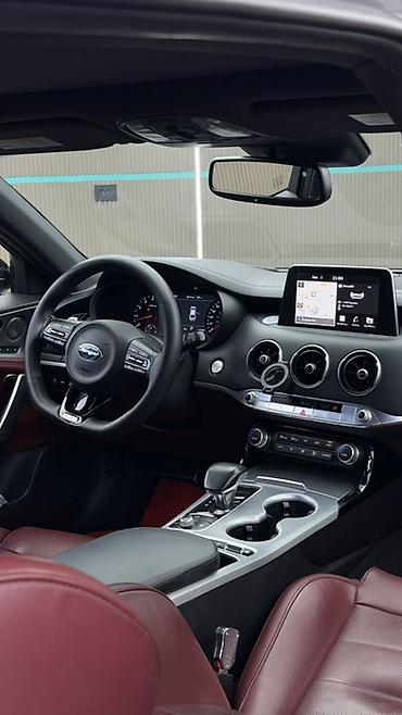 буду шины: Kia Stinger: 2018 г., 3.3 л, Автомат, Бензин, Лифтбек — 6