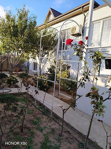dəniz çətiri: Metal bağ tağı – sarmaşıq və güllər üçün dayaq konstruksiyası 2 dene — 2