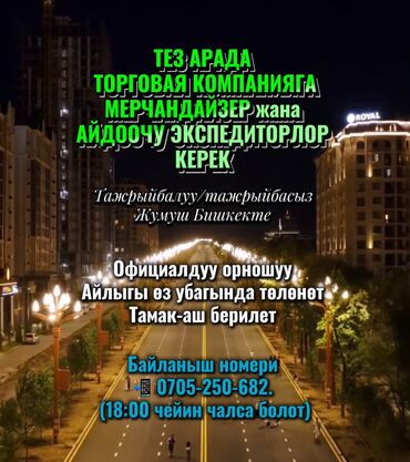 требуются водители с личным авто: Талап кылынат Айдоочу-экспедитор, Тажрыйбасыз, Сыйакылар, Толук жумуш күнү, Эркек