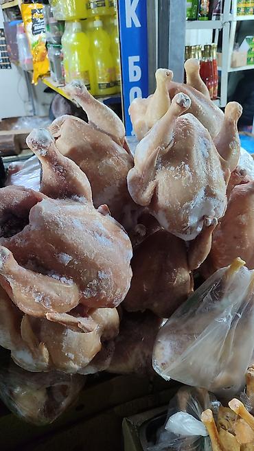 Курица: Продаются оптом и розницы ОКОРОЧКА,переполох,ИНДЕЙКИ горбуша,минтай — 23