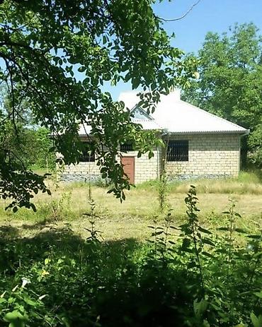 bakida gunluk ev: 🏡 TƏCİLİ! QƏBƏLƏDƏ PRESTİJLİ ƏRAZİDƏ 64 SOT TORPAQ SATILIR! 📍 Qəbələ — 1