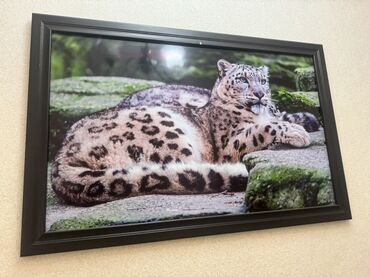 маска череп: Ассалом алейкум кыргыз элим . Кимдин бойрогундо таш бар болсо Мага