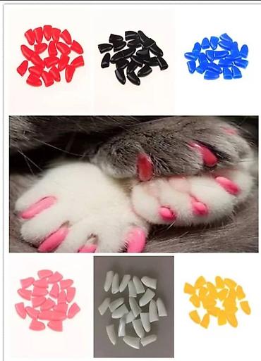 Зоотовары: Одежда для кошек и собак. Все НОВОЕ РАЗМЕР И ЦЕНА УКАЗАНЫ НА ФОТО — 17