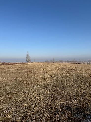 Продажа участков: 280 соток, Для сельского хозяйства — 2