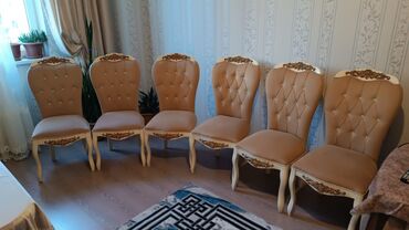 Otaq bitkiləri: Qonaq otağı üçün, İşlənmiş, Qatlanmayan, Stul