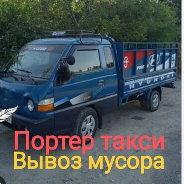 золотистая шиншилла: Портер такси портер такси портер Услуги портер такси портер такси