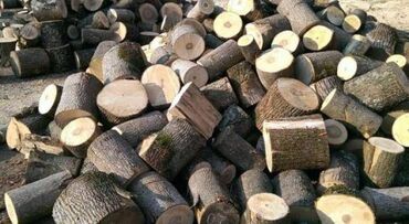 dərnəgül tikinti materialları: Kime odun lazim menen elaqe saxlasin quru odun mewe odunu watsap - 070