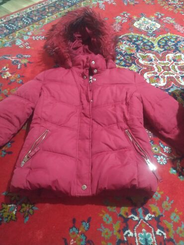 Куртки: Женская куртка Bershka, L (EU 40), цвет - Красный