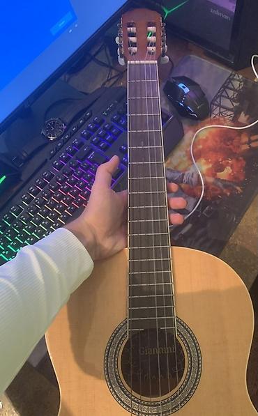 Классические гитары: Klassik gitara – Giannini - Brend/model: Giannini (lövhədə loqo — 2