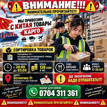it hub: Оформитель — 1