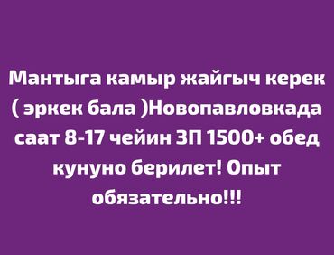 повар ищу работу: Талап кылынат Ашпозчу : Ун цехи, Улуттук ашкана, 1-2-жылдык тажрыйба