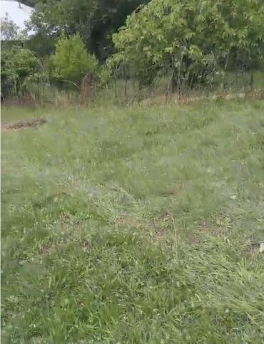 Torpaq sahələrinin satışı: Tikinti, Maklerlər narahat etməsin, Kupça (Çıxarış) -da lalafo.az — 2 Torpaq sahələrinin satışı: Tikinti, Maklerlər narahat etməsin, Kupça (Çıxarış) — 2