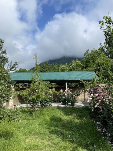 Günlük kirayə evlər: 80 kv. m, 1 otaqlı, Kanalizasiya, Kombi, Qaz — 5