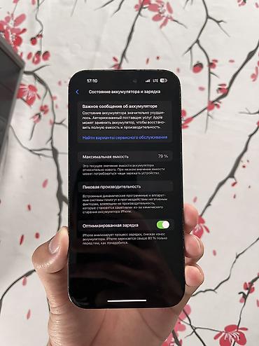 Apple iPhone: IPhone 14 Pro Max, 256 ГБ, 79 % — 10