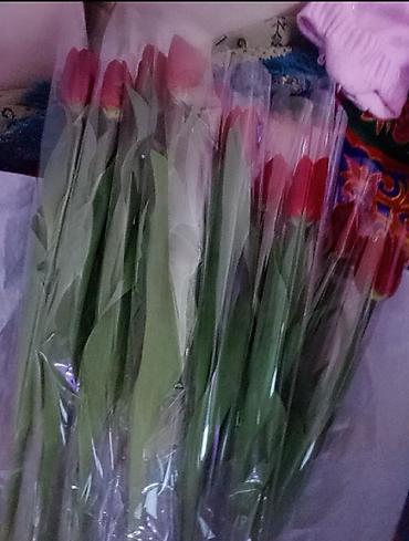 Букеты из живых цветов: Цветы Голландские Тюльпаны Оптом! Тюльпаны вместе с луковицами — 18