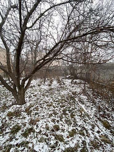 Продажа участков: 9 соток, Красная книга at lalafo.kg — 24 Продажа участков: 9 соток, Красная книга — 24