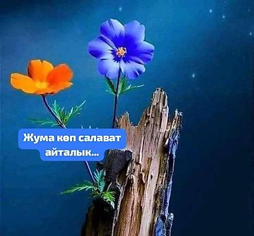 рассрочка продаю: 4 соток, Для строительства, Красная книга — 3