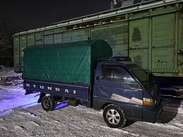 Легкий грузовой транспорт: Легкий грузовик, Hyundai, Стандарт, 2 т, Б/у