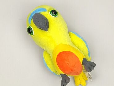 lidl skarpety cat: Mascot Bird, condition - Perfect