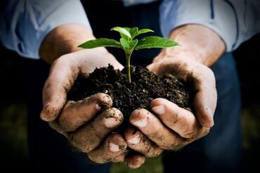 садор титан: Преимущества биогумуса: восстанавливает естественное плодородие