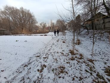 село виноградное: 450 соток, Для бизнеса, Красная книга