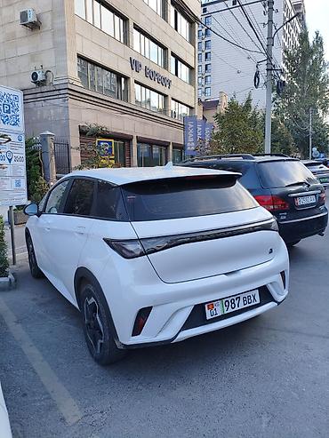 BYD: BYD Dolphin: 2022 г., Робот, Электромобиль, Хэтчбэк — 3