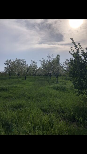 Torpaq sahələrinin satışı: 48 sot, Tikinti, Mülkiyyətçi, Bələdiyyə — 7