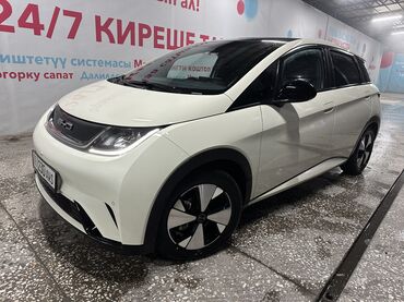 BYD: BYD Dolphin: 2023 г., Автомат, Электромобиль, Хэтчбэк — 3