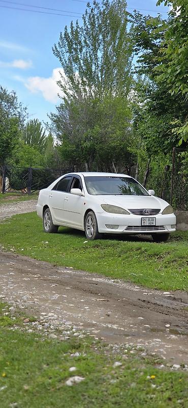авто краска: Toyota Camry: 2005 г., 2.4 л, Автомат, Бензин, Седан — 1