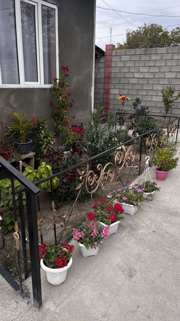 Межкомнатные двери: Чуй обл. Орловка шаарынан чон там сатылат 17 сотка жер аянтчасы менен — 27