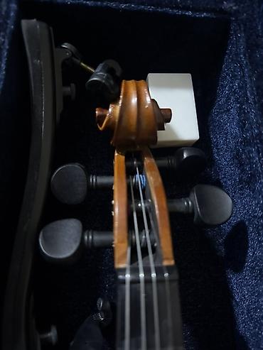 real gitara: Carlovy Vla6 modelində Skripka Satılır 🎻 keyfiyyətli model skripka — 2