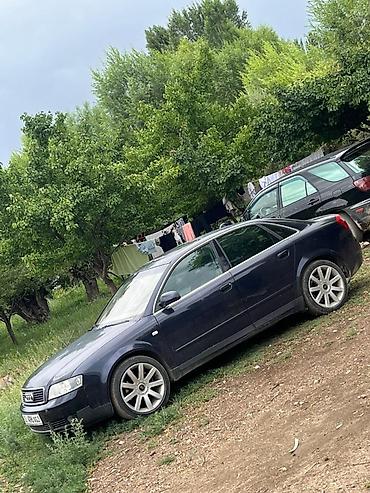 transporter multivan: Audi A4: 2004 г., 3 л, Автомат, Бензин, Седан — 1